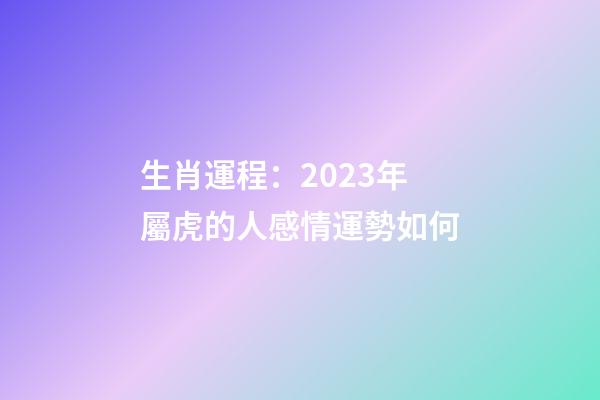 生肖運程：2023年屬虎的人感情運勢如何