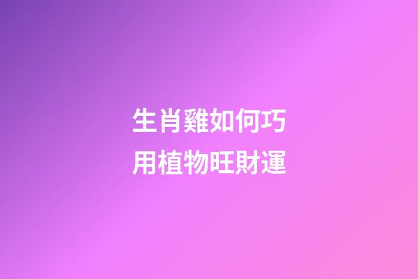 生肖雞如何巧用植物旺財運