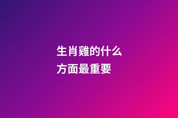 生肖雞的什么方面最重要