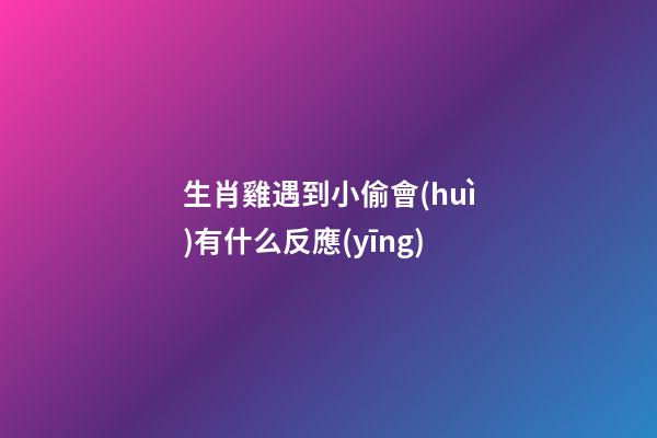 生肖雞遇到小偷會(huì)有什么反應(yīng)