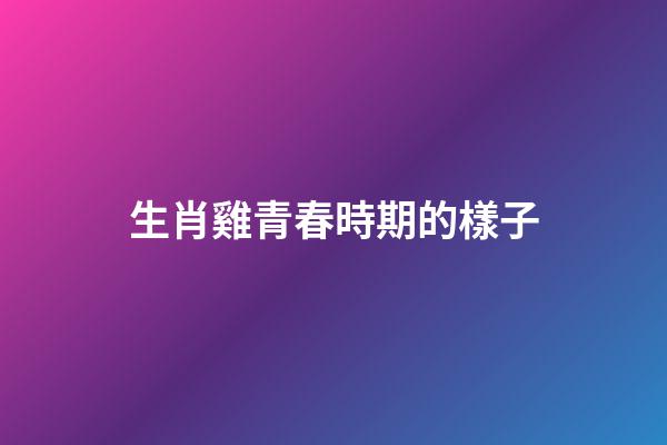 生肖雞青春時期的樣子