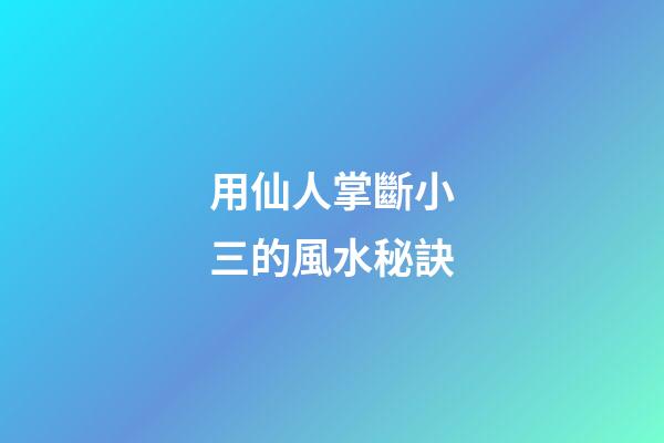 用仙人掌斷小三的風水秘訣