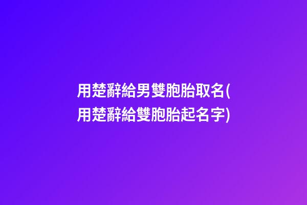 用楚辭給男雙胞胎取名(用楚辭給雙胞胎起名字)