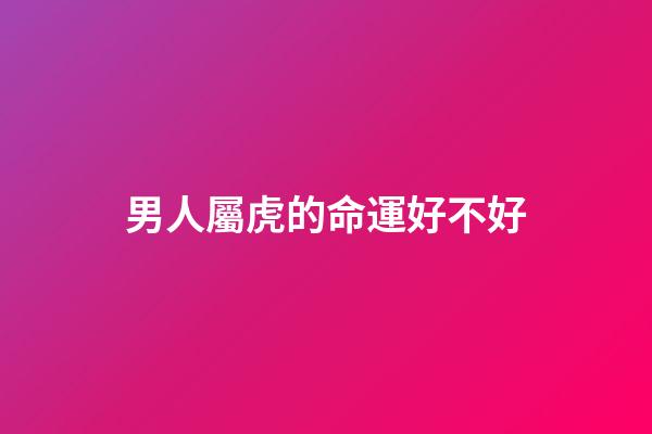 男人屬虎的命運好不好