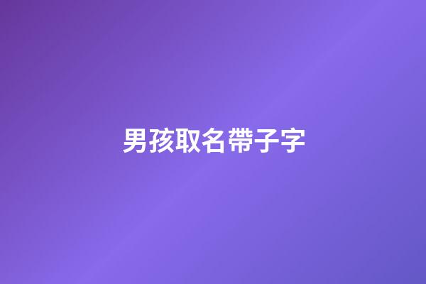 男孩取名帶子字