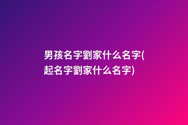 男孩名字劉家什么名字(起名字劉家什么名字)
