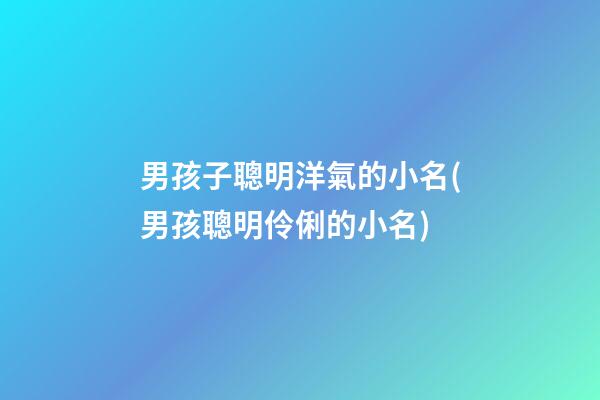 男孩子聰明洋氣的小名(男孩聰明伶俐的小名)