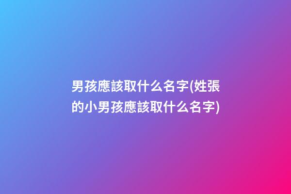 男孩應該取什么名字(姓張的小男孩應該取什么名字)