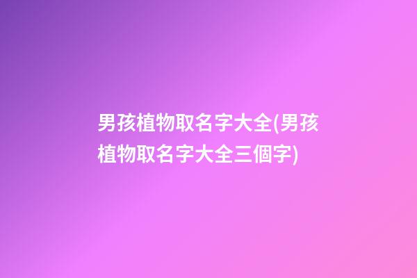 男孩植物取名字大全(男孩植物取名字大全三個字)