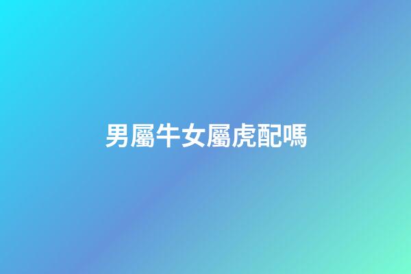 男屬牛女屬虎配嗎