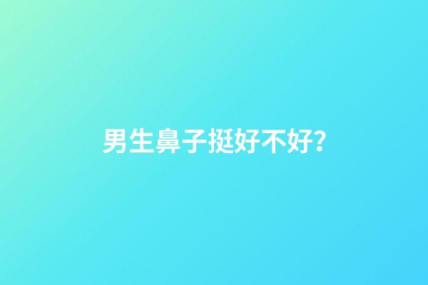 男生鼻子挺好不好？