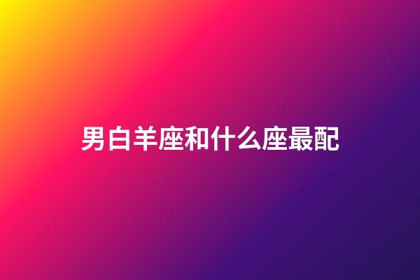 男白羊座和什么座最配（雙子座男和什么座最配）-第1張-星座運勢-玄機派