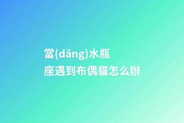 當(dāng)水瓶座遇到布偶貓怎么辦