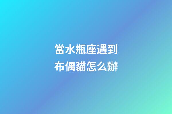當水瓶座遇到布偶貓怎么辦