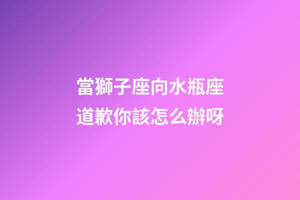 當獅子座向水瓶座道歉你該怎么辦呀-第1張-星座運勢-玄機派