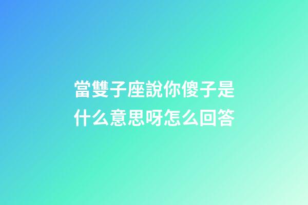 當雙子座說你傻子是什么意思呀怎么回答-第1張-星座運勢-玄機派