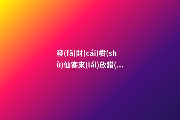 發(fā)財(cái)樹(shù)仙客來(lái)放錯(cuò)位置“不吉利”，正確擺放地方你清楚嗎？