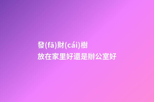 發(fā)財(cái)樹放在家里好還是辦公室好