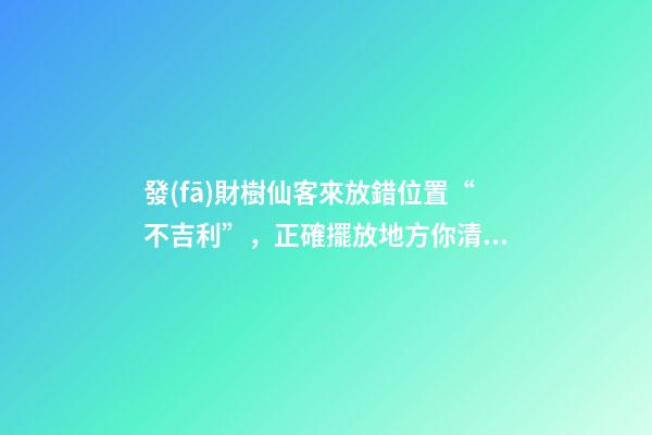 發(fā)財樹仙客來放錯位置“不吉利”，正確擺放地方你清楚嗎？