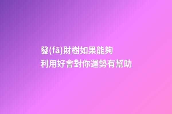 發(fā)財樹如果能夠利用好會對你運勢有幫助