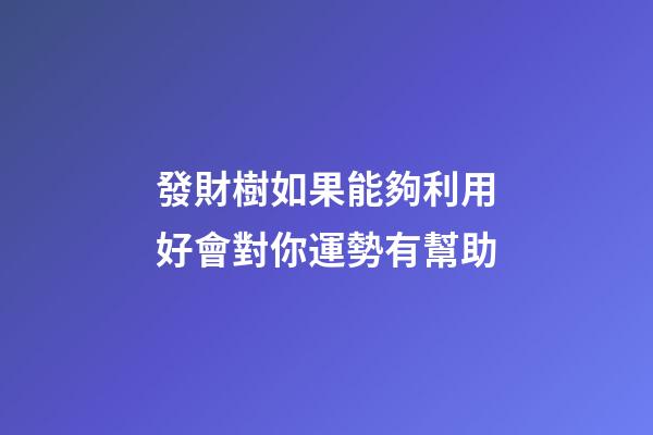 發財樹如果能夠利用好會對你運勢有幫助