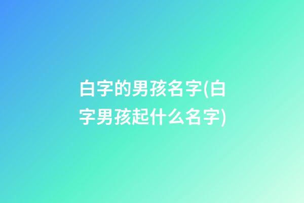 白字的男孩名字(白字男孩起什么名字)