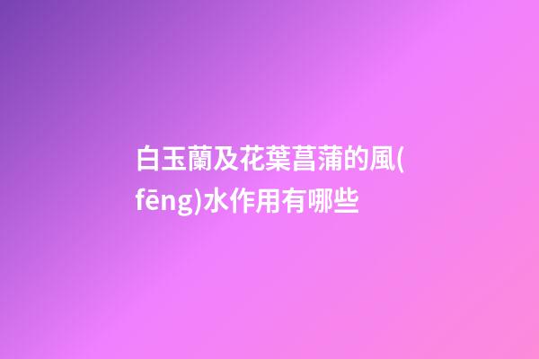 白玉蘭及花葉菖蒲的風(fēng)水作用有哪些?