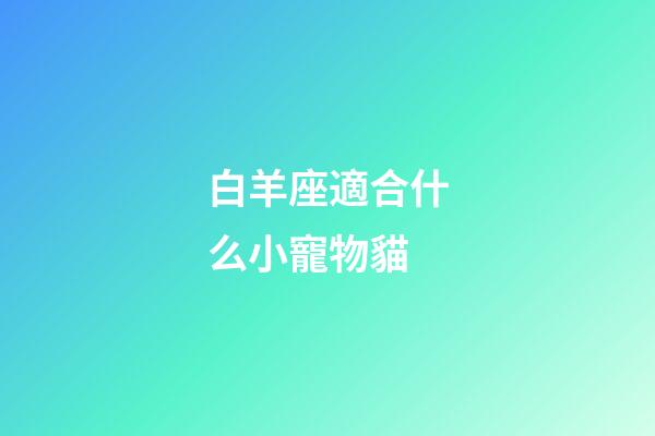 白羊座適合什么小寵物貓-第1張-星座運勢-玄機派