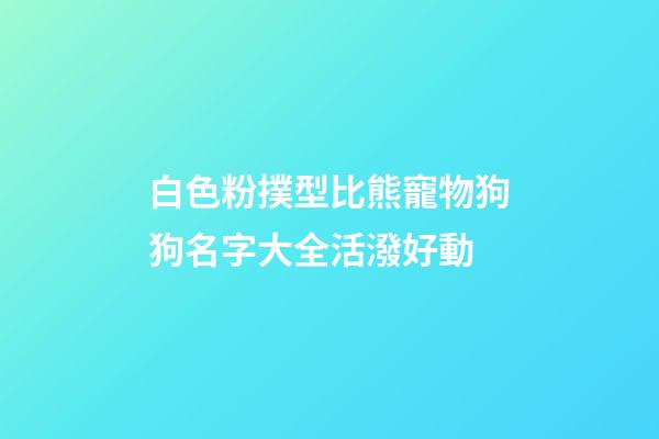 白色粉撲型比熊寵物狗狗名字大全活潑好動