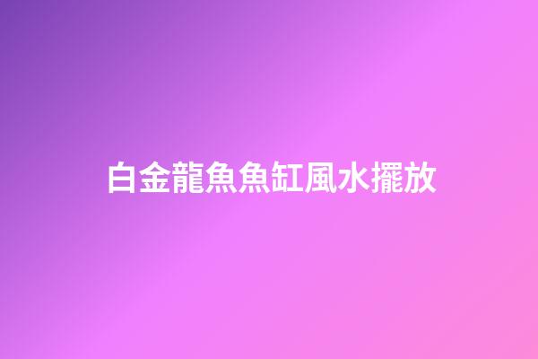 白金龍魚魚缸風水擺放