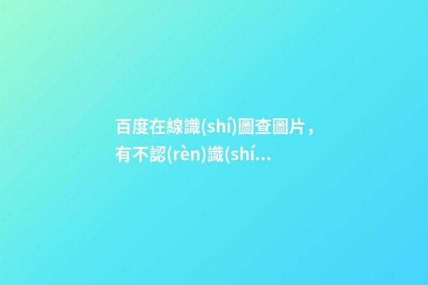 百度在線識(shí)圖查圖片，有不認(rèn)識(shí)的蟲(chóng)子怎么辦-第1張-觀點(diǎn)-玄機(jī)派
