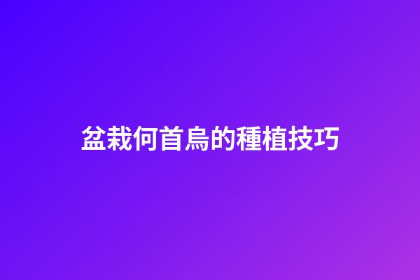 盆栽何首烏的種植技巧