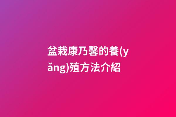 盆栽康乃馨的養(yǎng)殖方法介紹