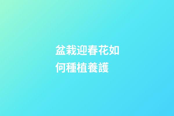 盆栽迎春花如何種植養護