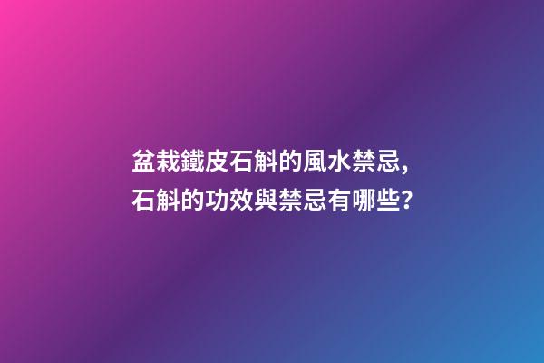 盆栽鐵皮石斛的風水禁忌,石斛的功效與禁忌有哪些？