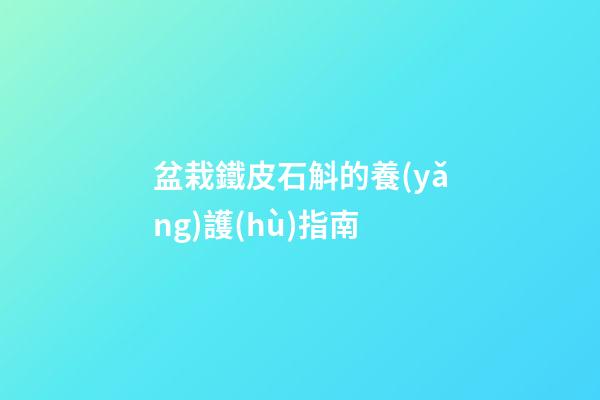 盆栽鐵皮石斛的養(yǎng)護(hù)指南