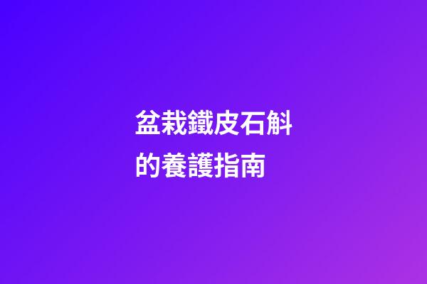 盆栽鐵皮石斛的養護指南