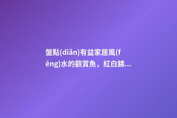 盤點(diǎn)有益家居風(fēng)水的觀賞魚，紅白錦鯉能旺財(cái)