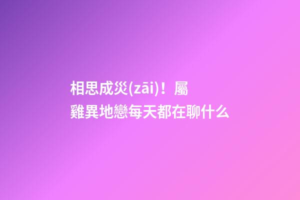 相思成災(zāi)！屬雞異地戀每天都在聊什么