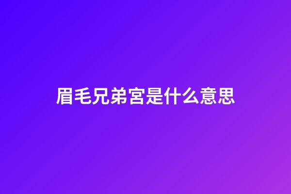 眉毛兄弟宮是什么意思