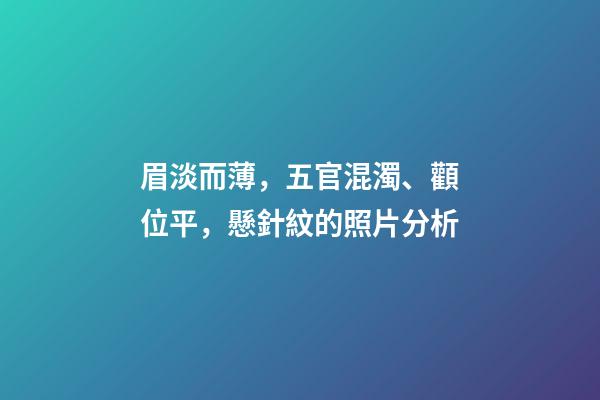 眉淡而薄，五官混濁、顴位平，懸針紋的照片分析
