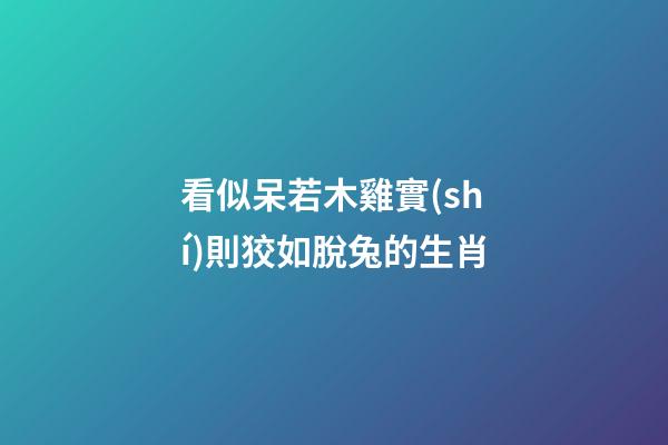 看似呆若木雞實(shí)則狡如脫兔的生肖
