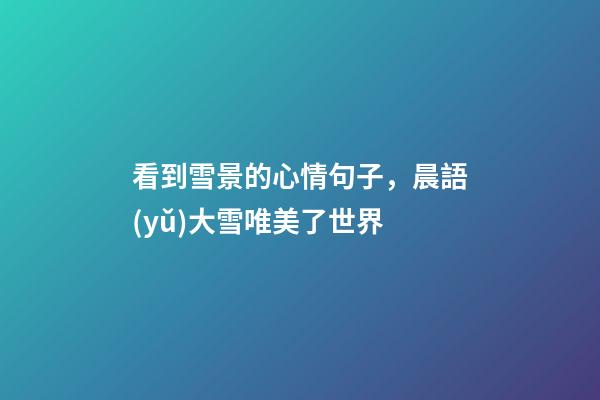 看到雪景的心情句子，晨語(yǔ)大雪唯美了世界-第1張-觀點(diǎn)-玄機(jī)派