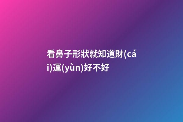看鼻子形狀就知道財(cái)運(yùn)好不好