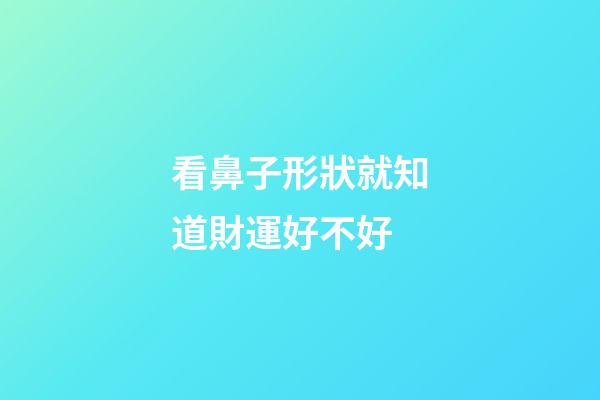 看鼻子形狀就知道財運好不好