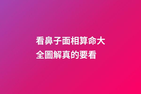看鼻子面相算命大全圖解真的要看