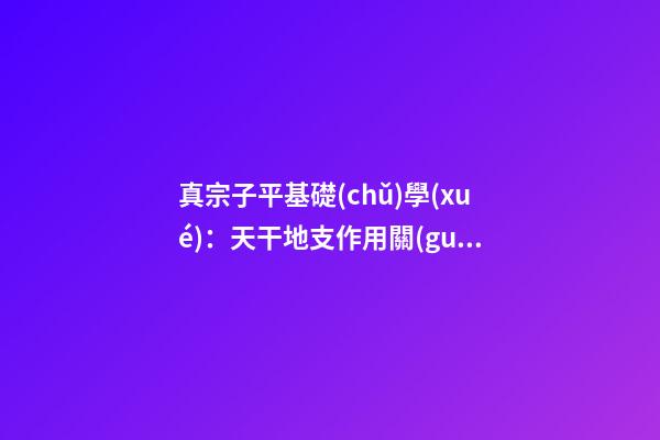 真宗子平基礎(chǔ)學(xué)：天干地支作用關(guān)系