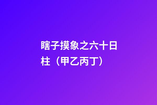 瞎子摸象之六十日柱（甲乙丙丁）