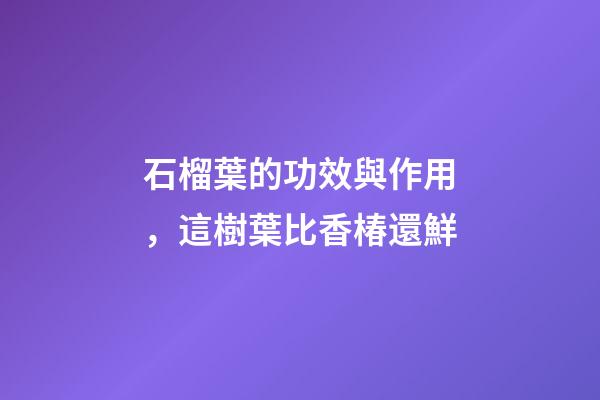 石榴葉的功效與作用，這樹葉比香椿還鮮-第1張-觀點-玄機派