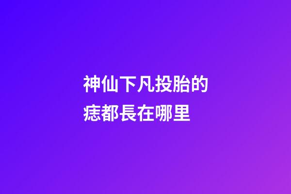 神仙下凡投胎的痣都長在哪里